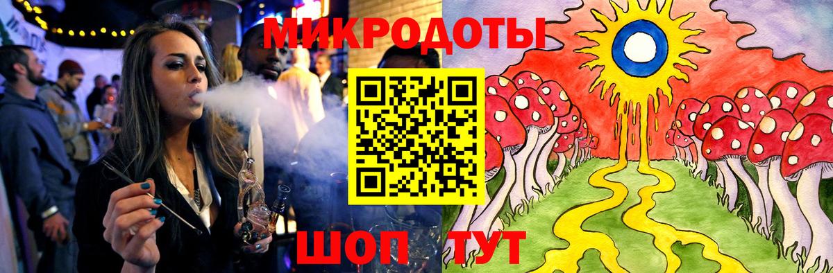 Псилоцибиновые грибы Psilocybine cubensis Ростов Великий