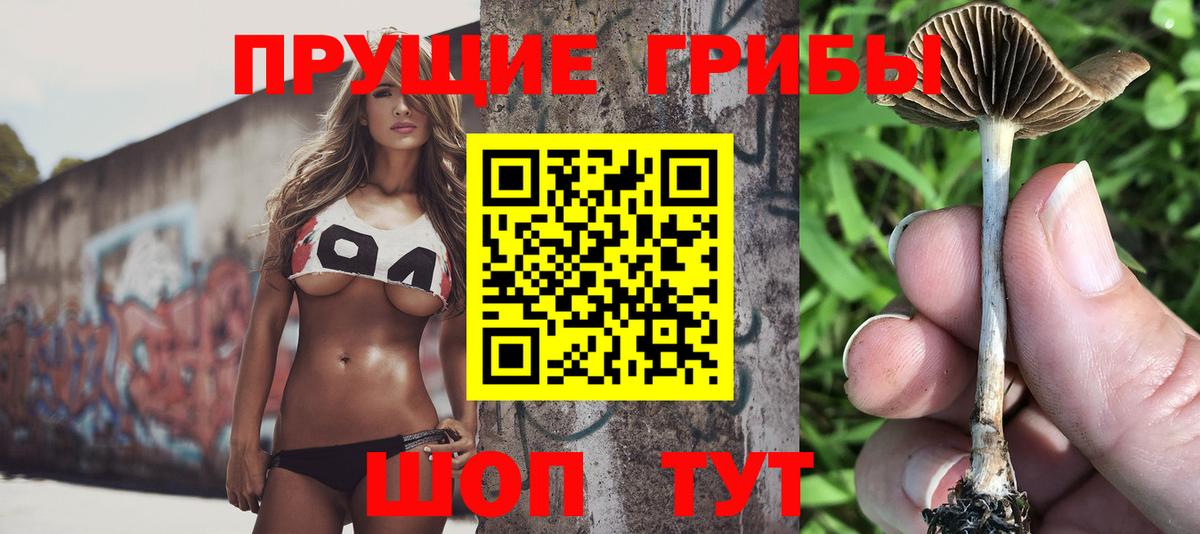 Псилоцибиновые грибы мицелий Ростов Великий