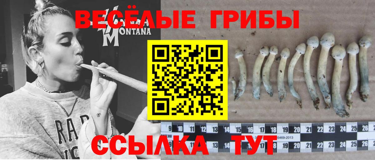 Галлюциногенные грибы Psilocybe  Галлюциногенные грибы Magic Shrooms  Вход с VPN  Ростов Великий 