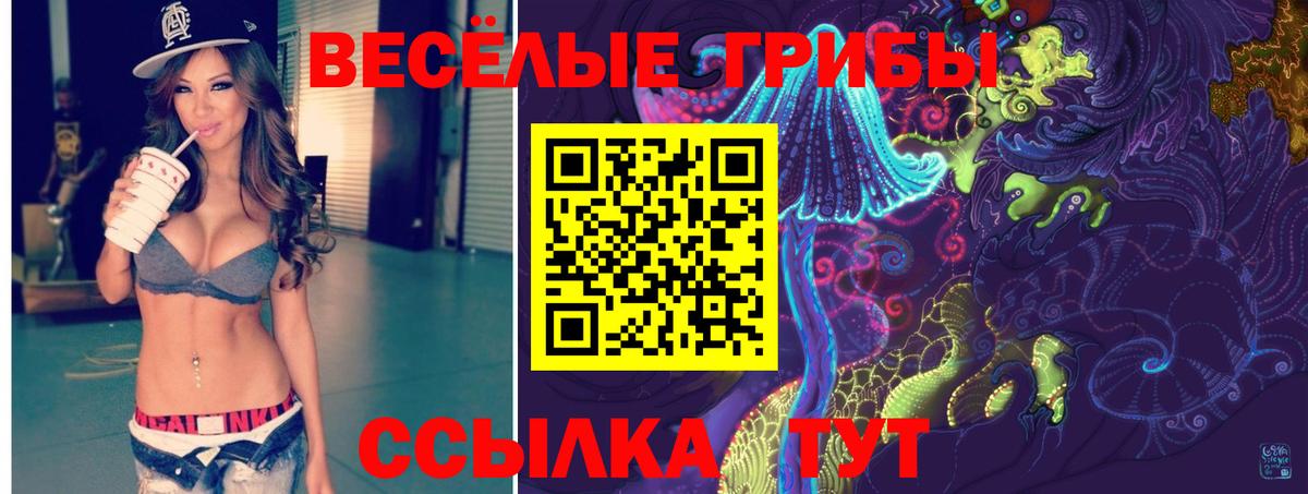 Псилоцибиновые грибы MAGIC MUSHROOMS  Вход с VPN  Ростов Великий 